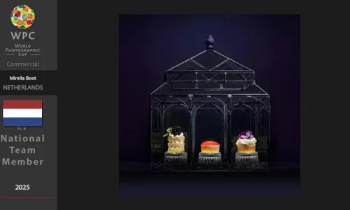 IMG-2572-1734542998 IMG-2572-1734542998