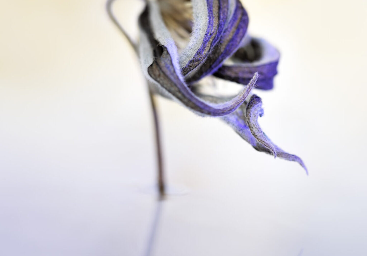 1037-Ina Vrinssen fotografie