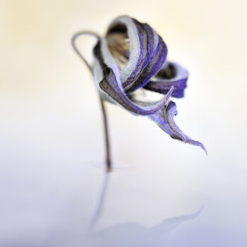 1037-Ina Vrinssen fotografie