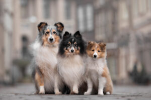 Annemiek Muller-Rijnaard (1)