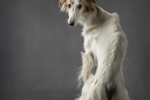 Annemiek Muller-Rijnaard (14)