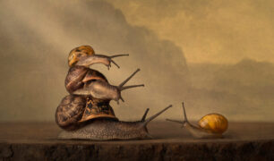 Annemiek Muller-Rijnaard (5)