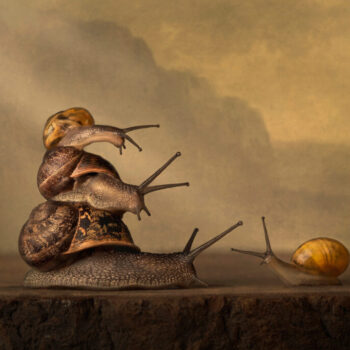 Annemiek Muller-Rijnaard (5)