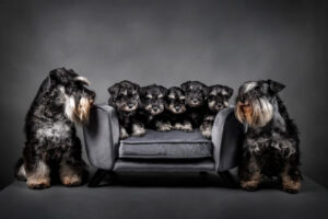 Annemiek Muller-Rijnaard (7)