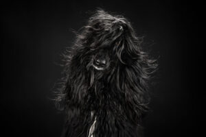 Annemiek Muller-Rijnaard (8)