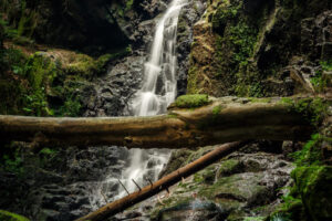 Een waterval in het bos met rotsen vol mos in het Schwarzwald -