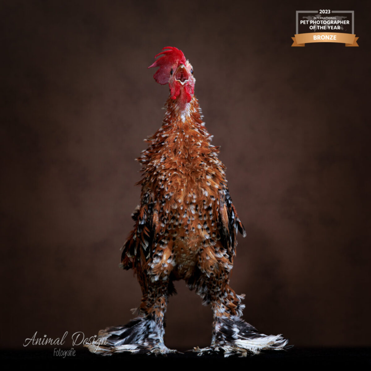 2-2023-04-09_YvonnevanLeeuwen-ADF-bewerkt 2-2023-04-09_YvonnevanLeeuwen-ADF-bewerkt