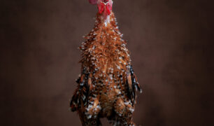 2-2023-04-09_YvonnevanLeeuwen-ADF-bewerkt