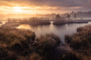 Een gouden zonsopkomst aan het Veluwermeer - Nederland