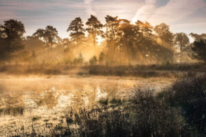 Een spectaculaire zonsopkomst bij de Ravenvennen in Schandelo -