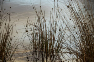 De overgang van koud naar warm op de Meinweg Roermond - Nederlan