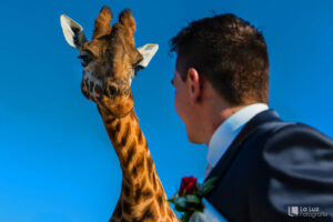 Slagter-Moniek-Imaginem-2