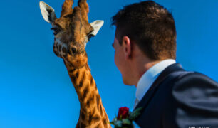 Slagter-Moniek-Imaginem-2