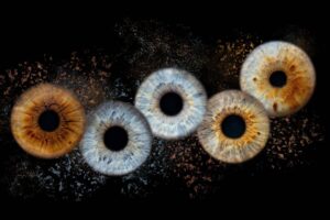 portfolio-irissen-es-7